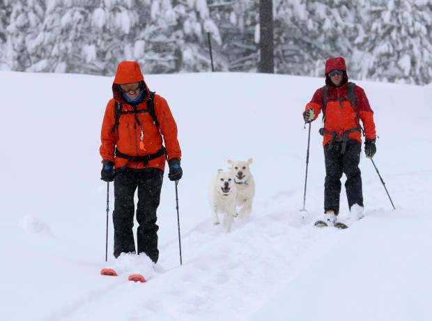 Frank McGorman, of San Carlos, and Michael Shields, of Los Gatos, from left, with Shields' dogs Jekyll and Hydee, from right, ski down a backcountry trail off Northwoods Boulevard in Truckee, Calif., on Sunday, March 3, 2024. (Jane Tyska/Bay Area News Group via AP)