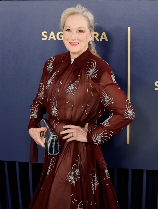 LOS ANGELES, CALIFORNIA - FEBRUARY 24: Meryl Streep attends the 30th Annual Screen Actors Guild Awards at Shrine Auditorium and Expo Hall on February 24, 2024 in Los Angeles, California. (Photo by Frazer Harrison/Getty Images)