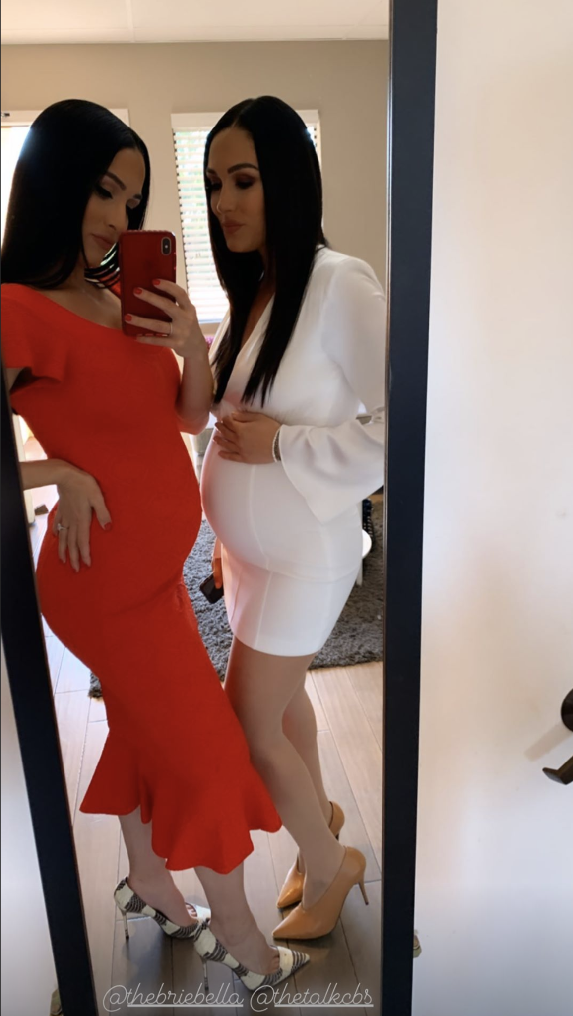 Twins Nikki and Brie Bella show off their growing baby bumps with a sweet mirror selfie on Instagram. The two former WWE wrestlers are due within two weeks of each other.